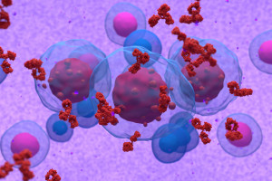 Biologická léčba mnohočetného myelomu v roce 2021
